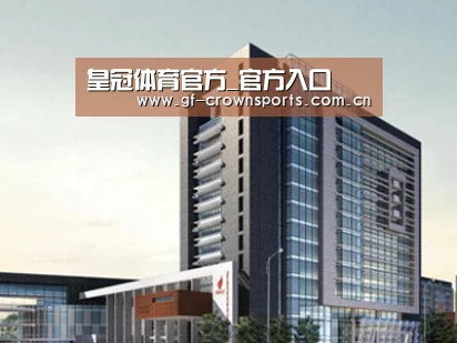 案例展示七(图1) 案例展示七(图1)
