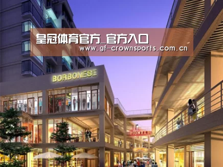 案例展示一(图1)