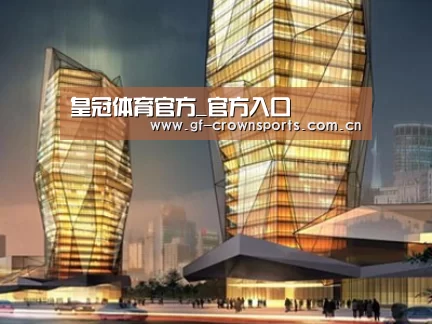 案例展示三