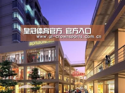 案例展示一