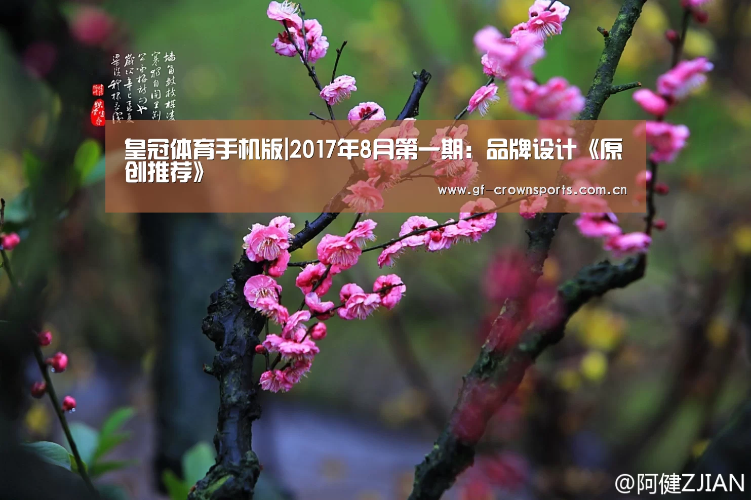 皇冠体育注册