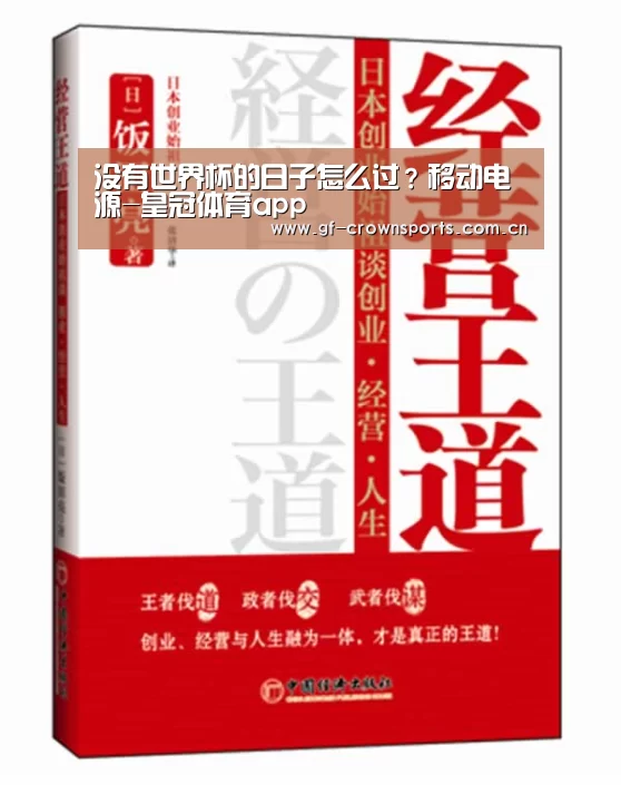 没有世界杯的日子怎么过?移动电源-皇冠体育app(图1) 皇冠体育app